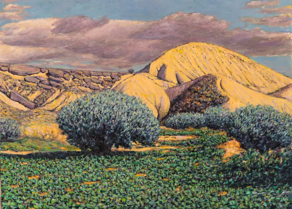 Yellow hill and olive trees