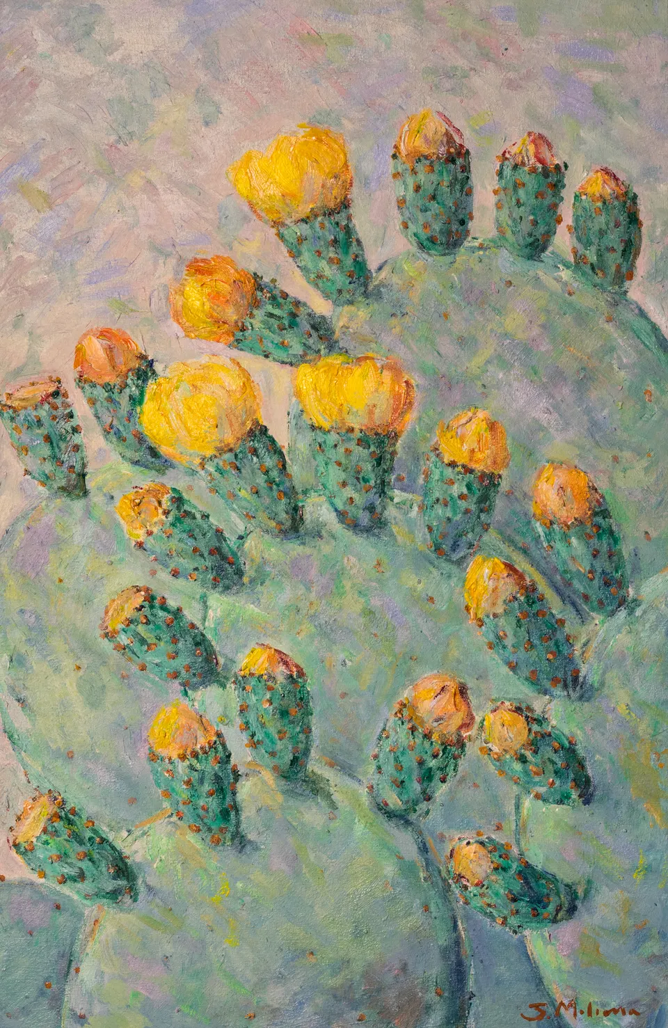 Ripe prickly pears