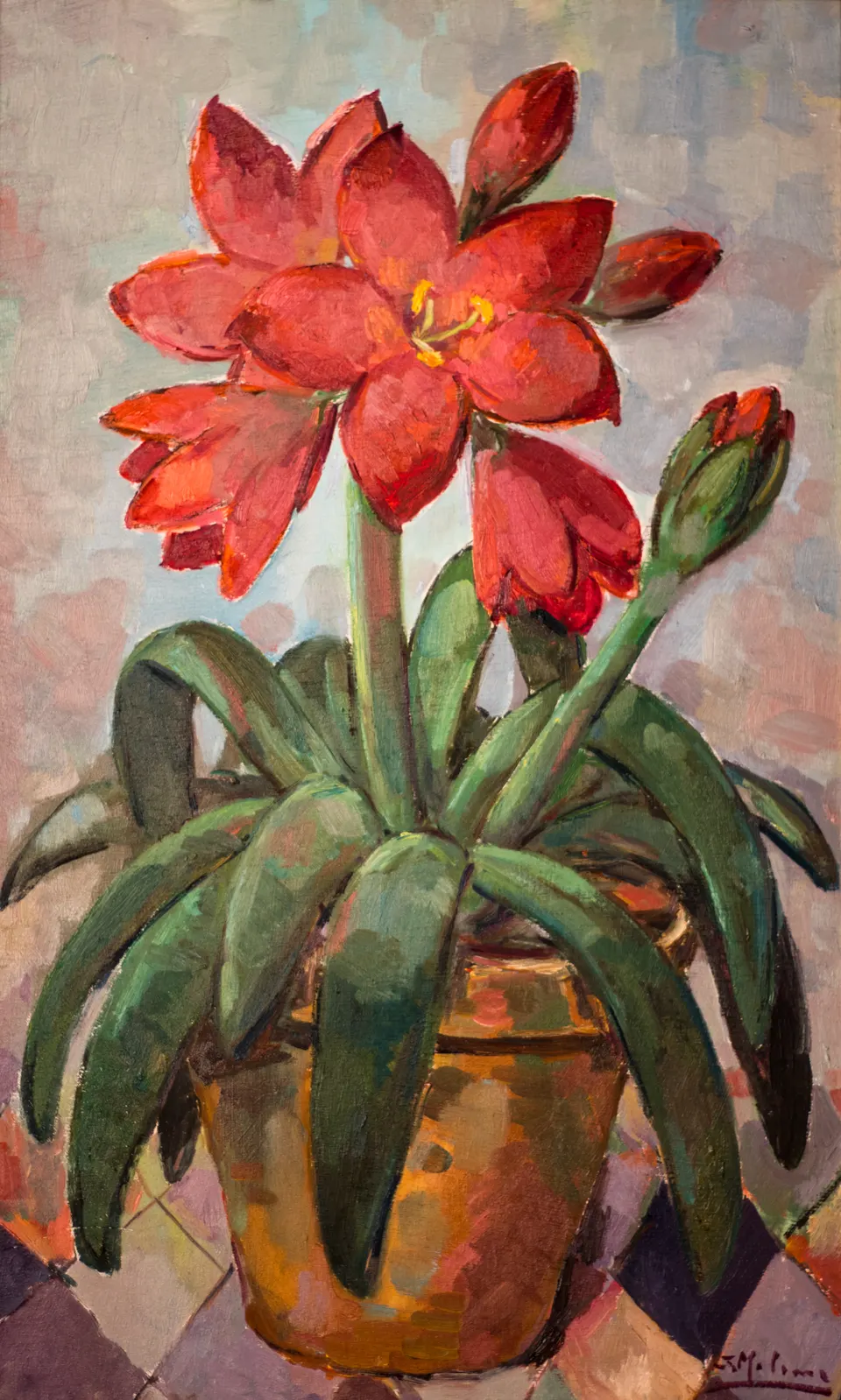 Red flower in a pot
