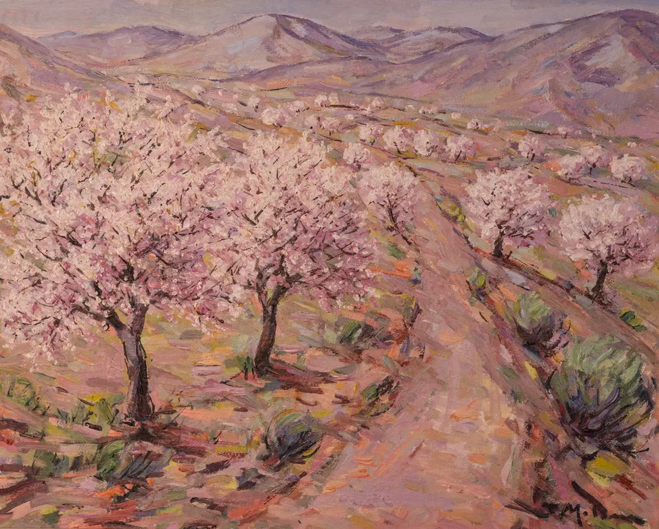 Almond trees on the rise