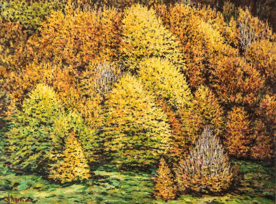 Autumn grove