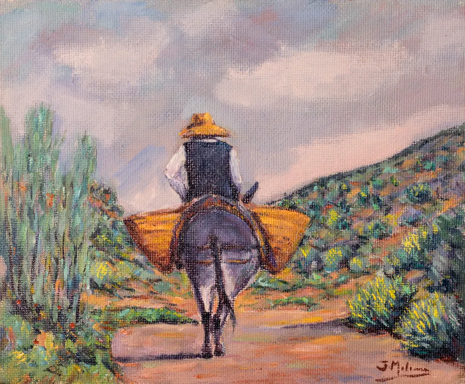 Rider seen from behind
