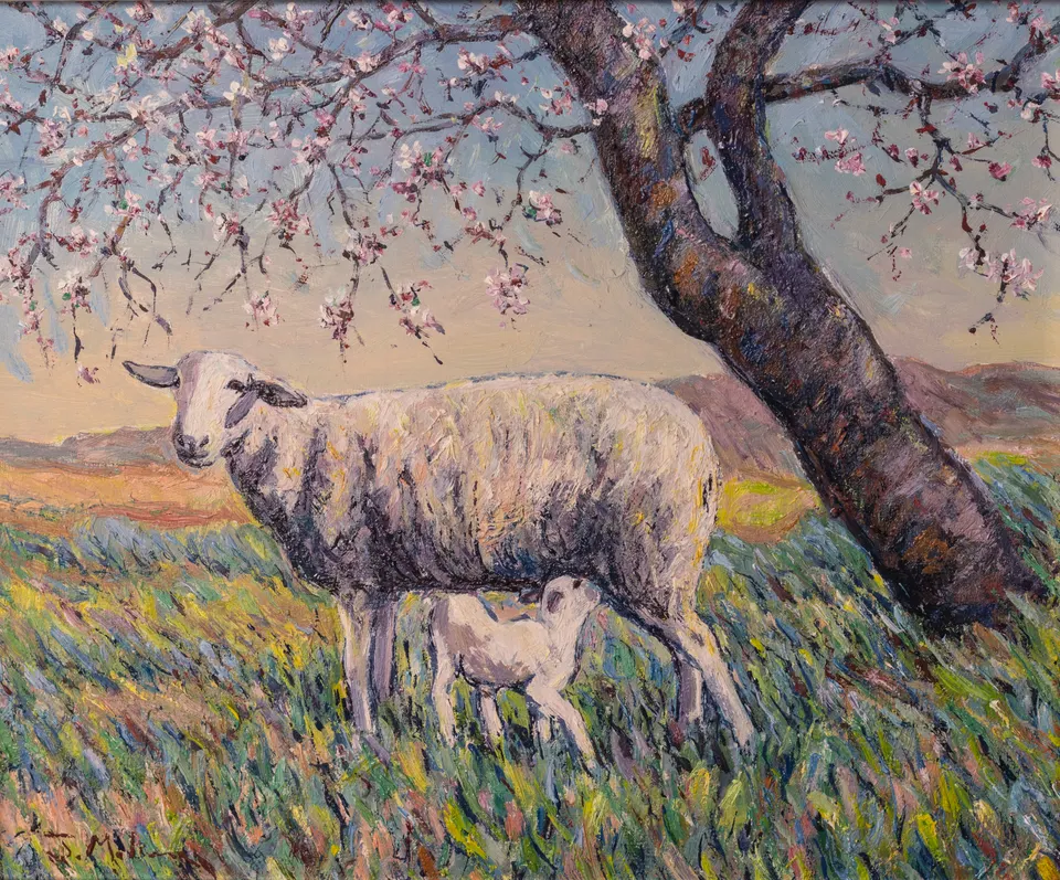 Ewe with her lamb
