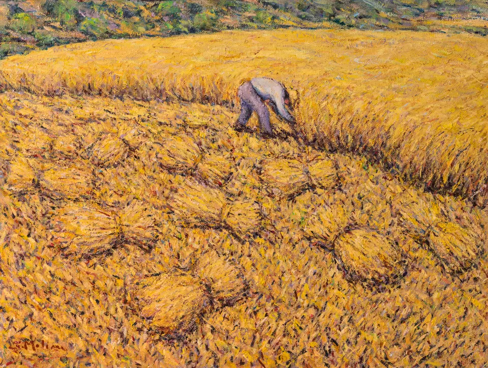 Reaping the wheat