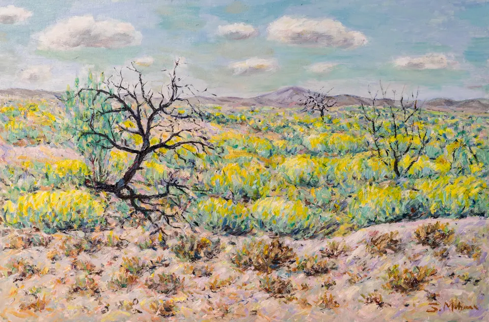 Scrubland in flower