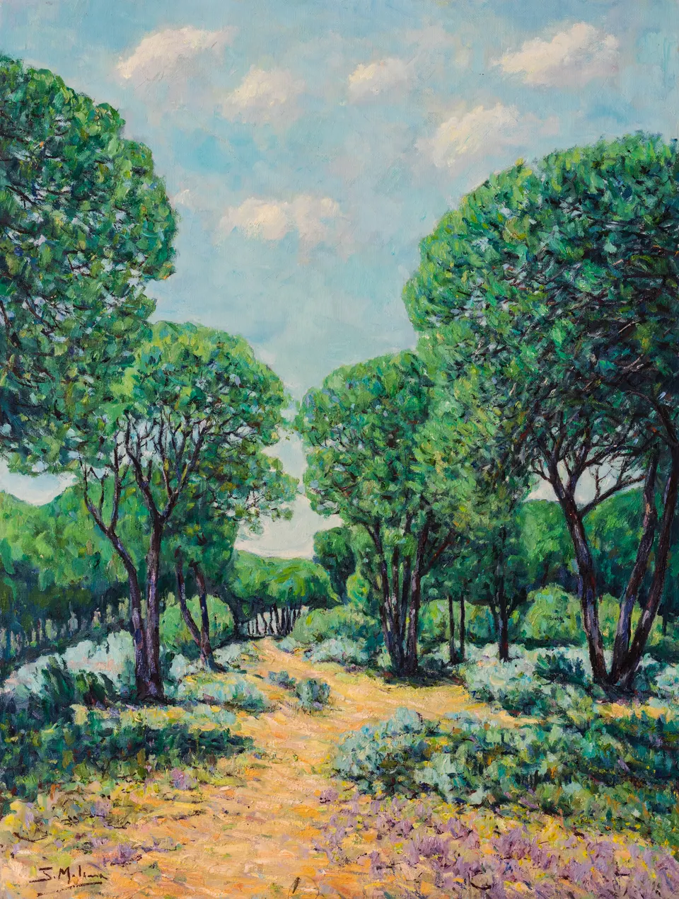 Path through the pines