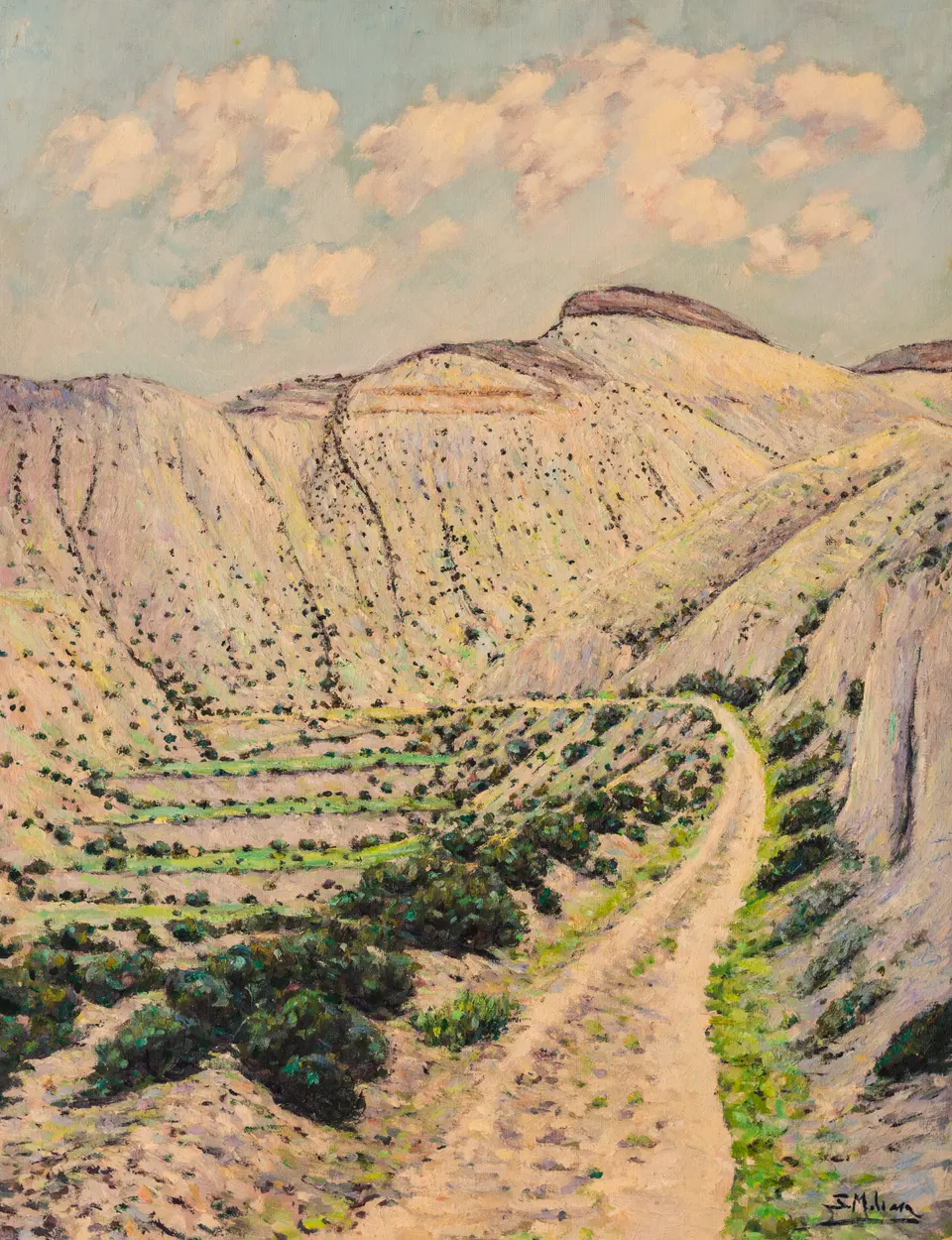 Track through the badlands