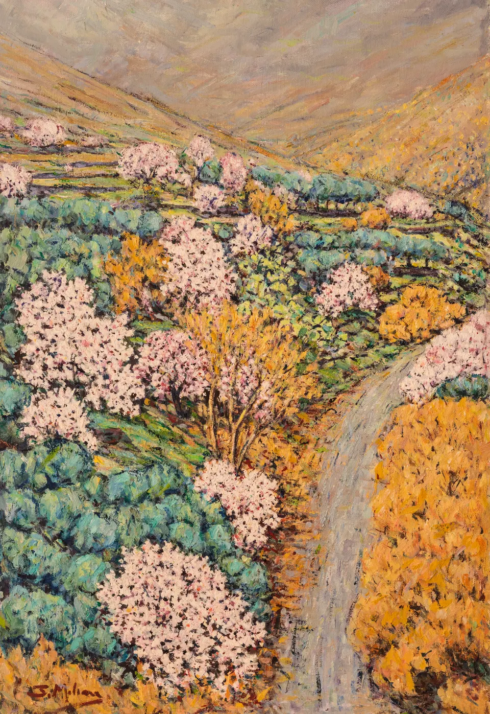 Almond trees by the track