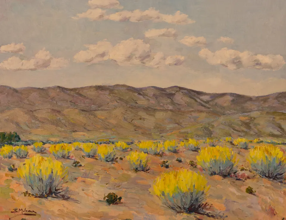 Yellow bushes before the range