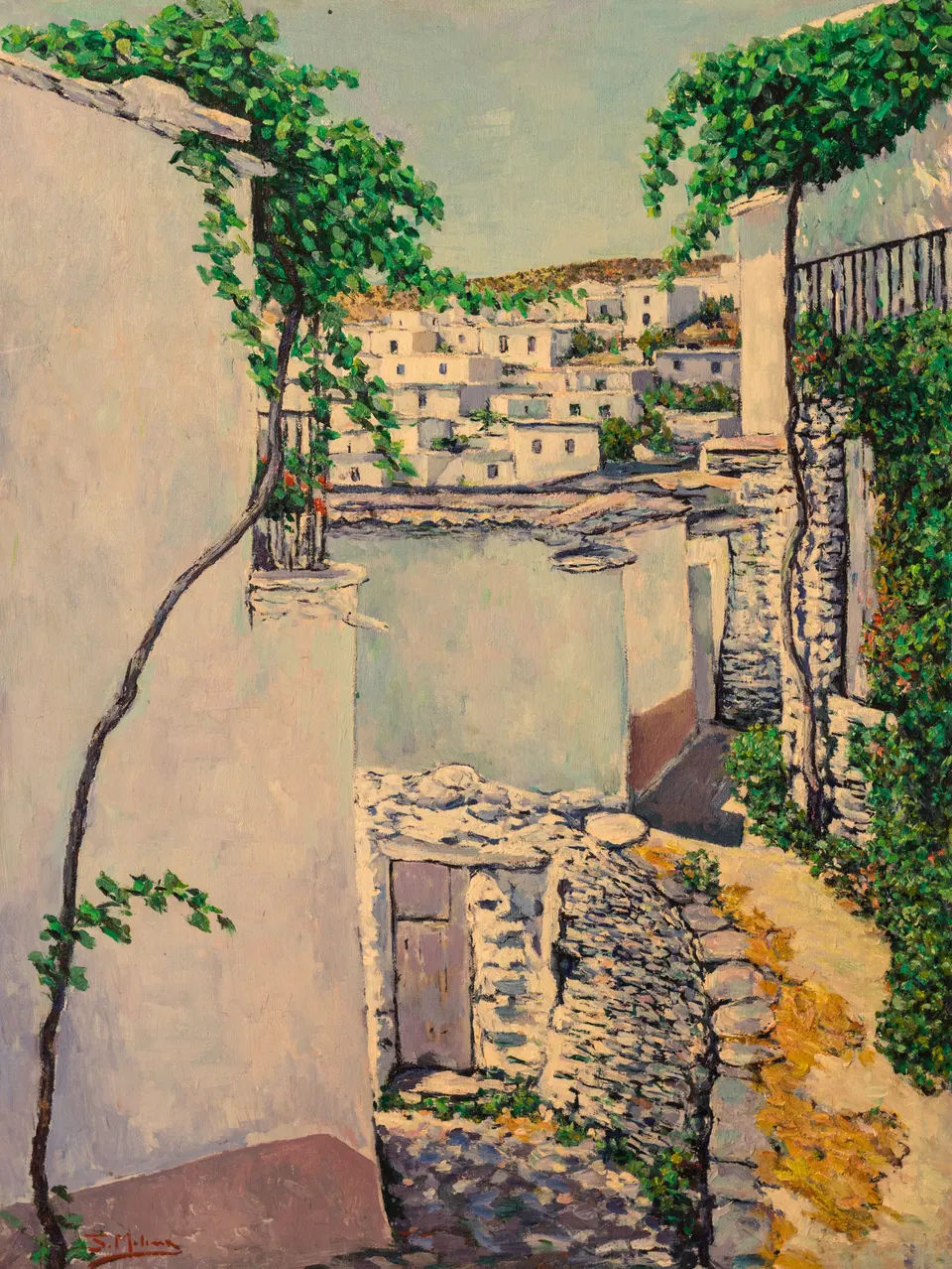 Vine over the alley