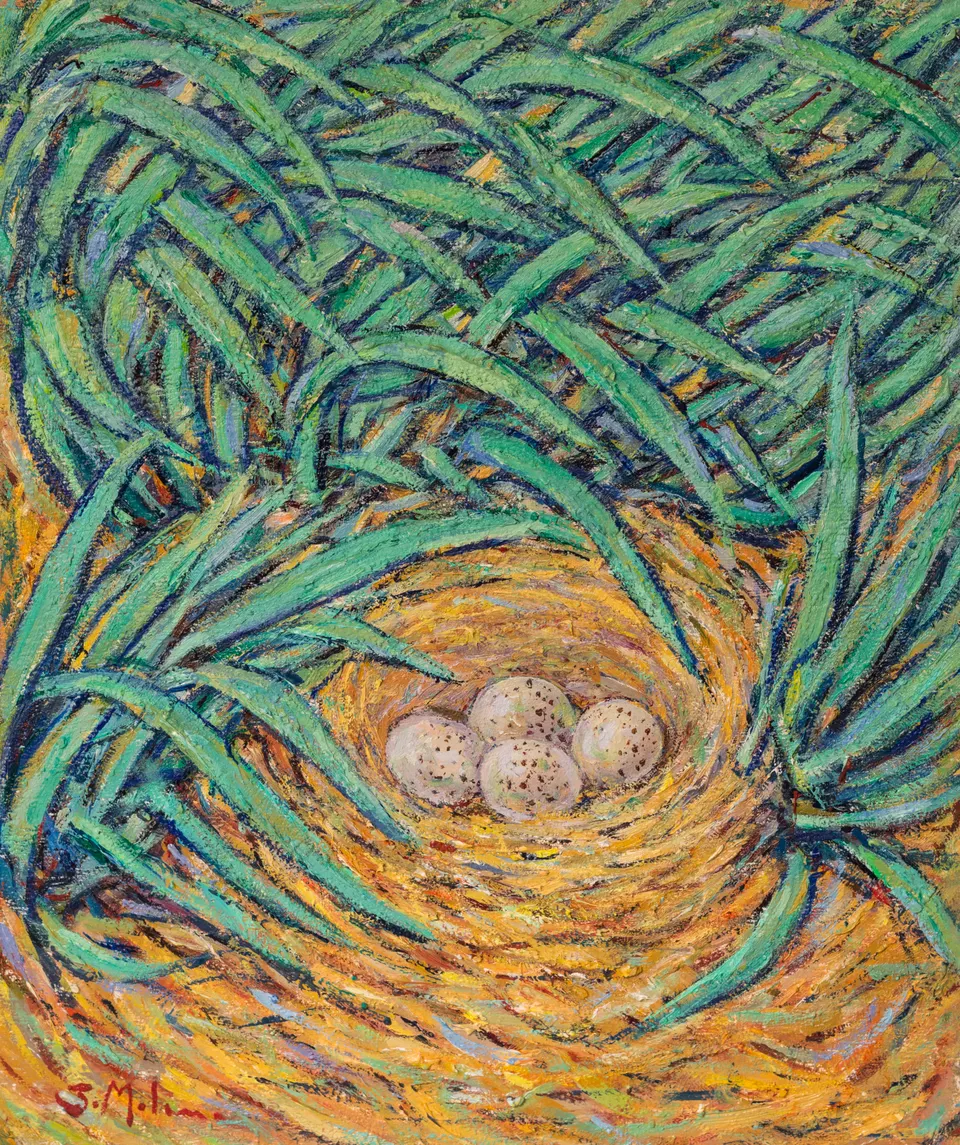 Nest among the leaves