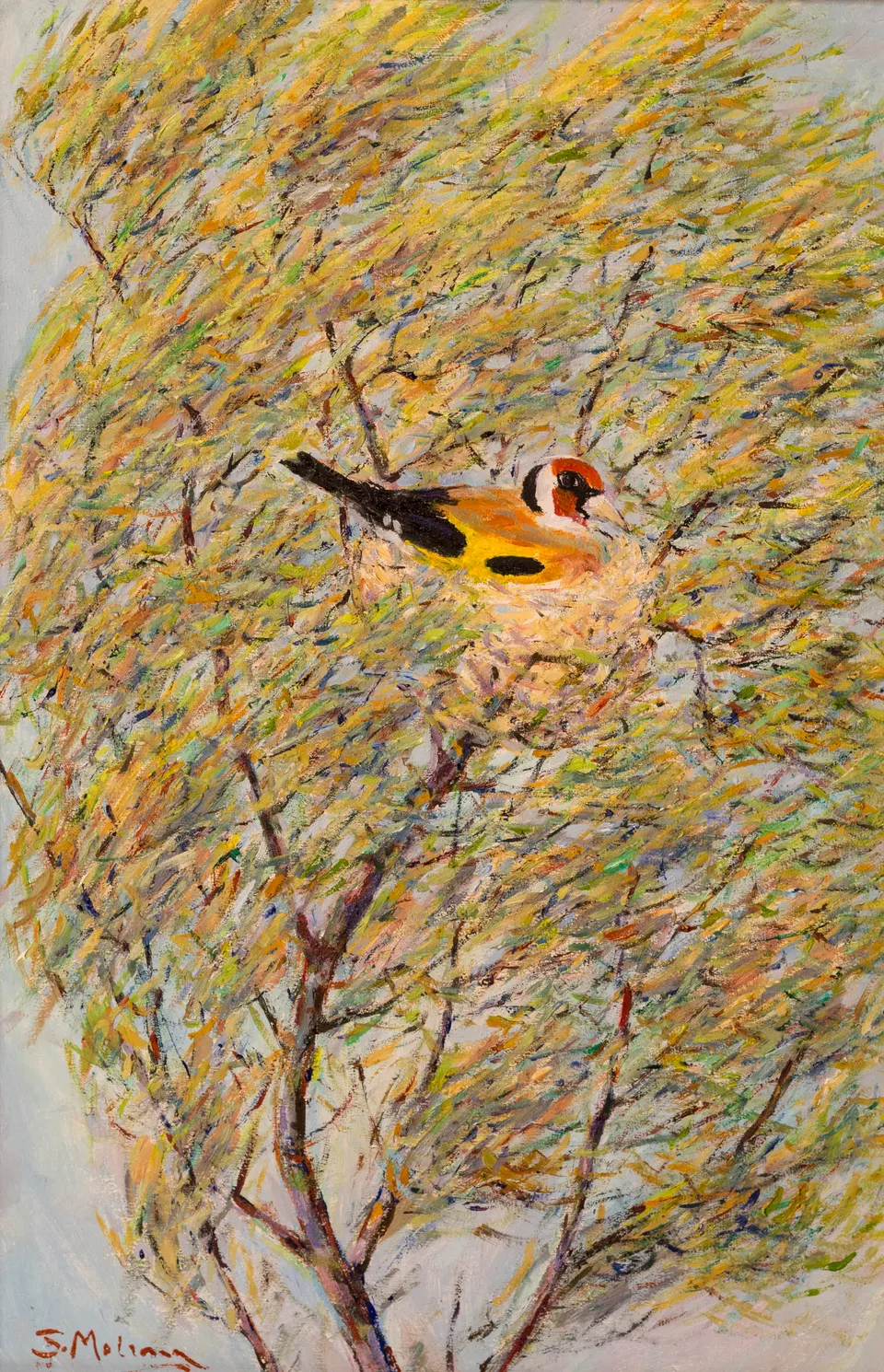 Goldfinch in the branches