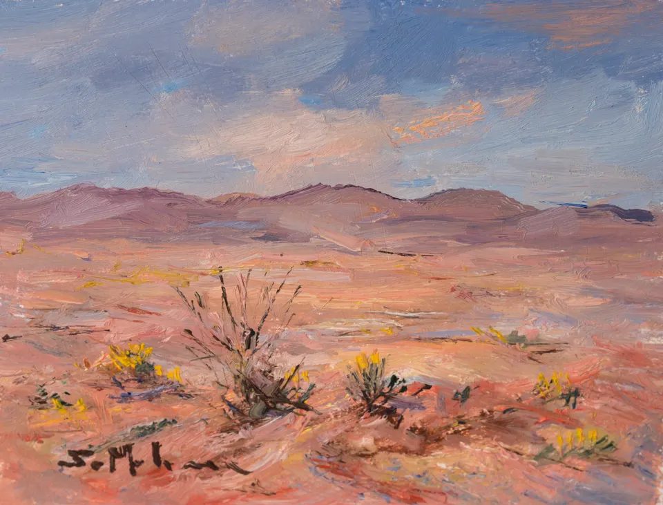 Dry scrub on the plain