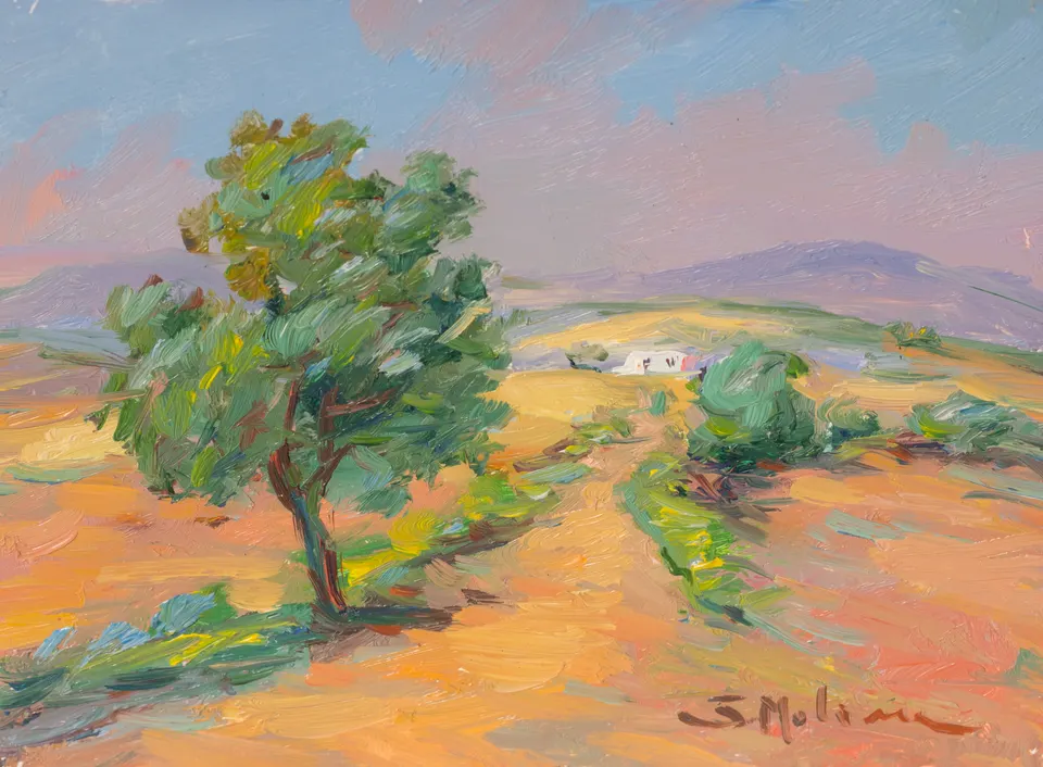 Olive tree above golden fields