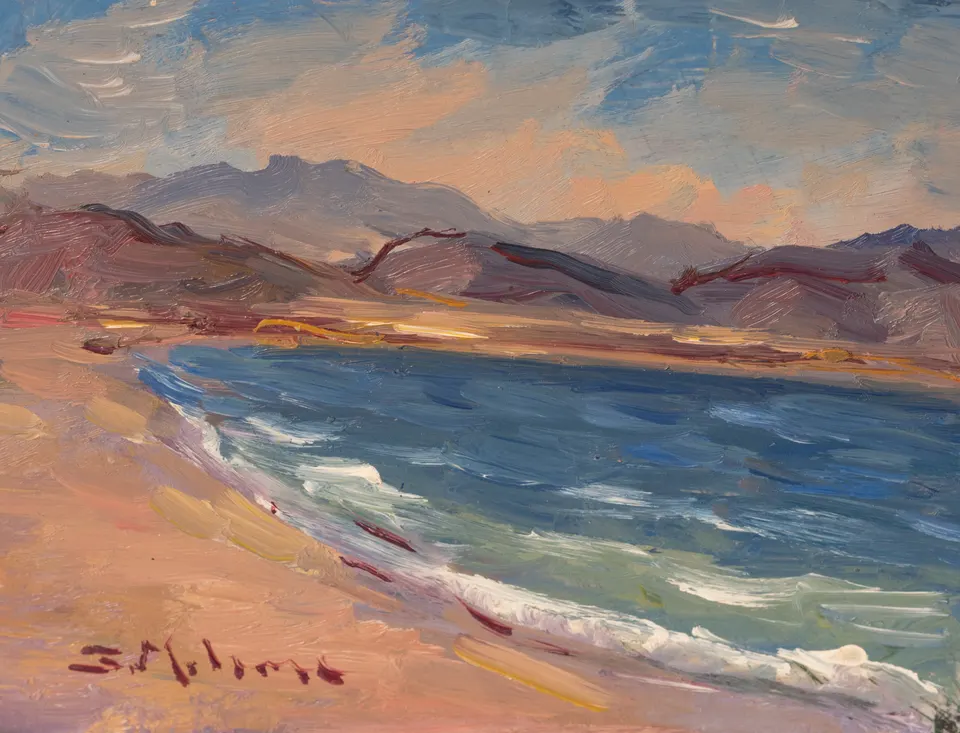 Wave on the shore