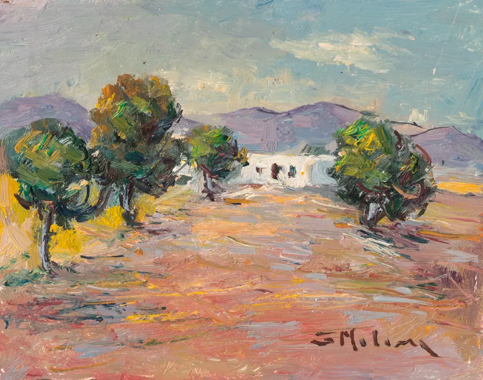 Olive trees before the farmhouse