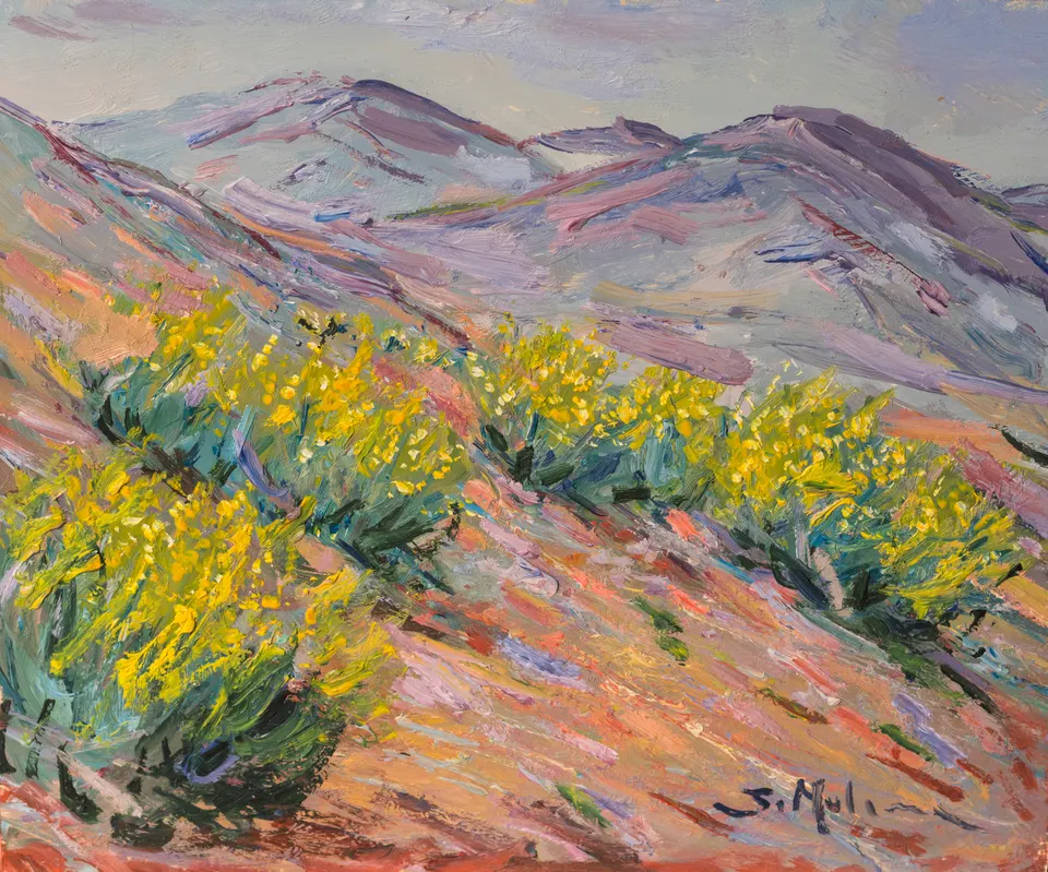 Slope of yellow flowers