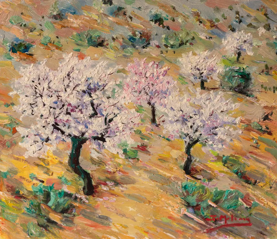Almond grove in blossom