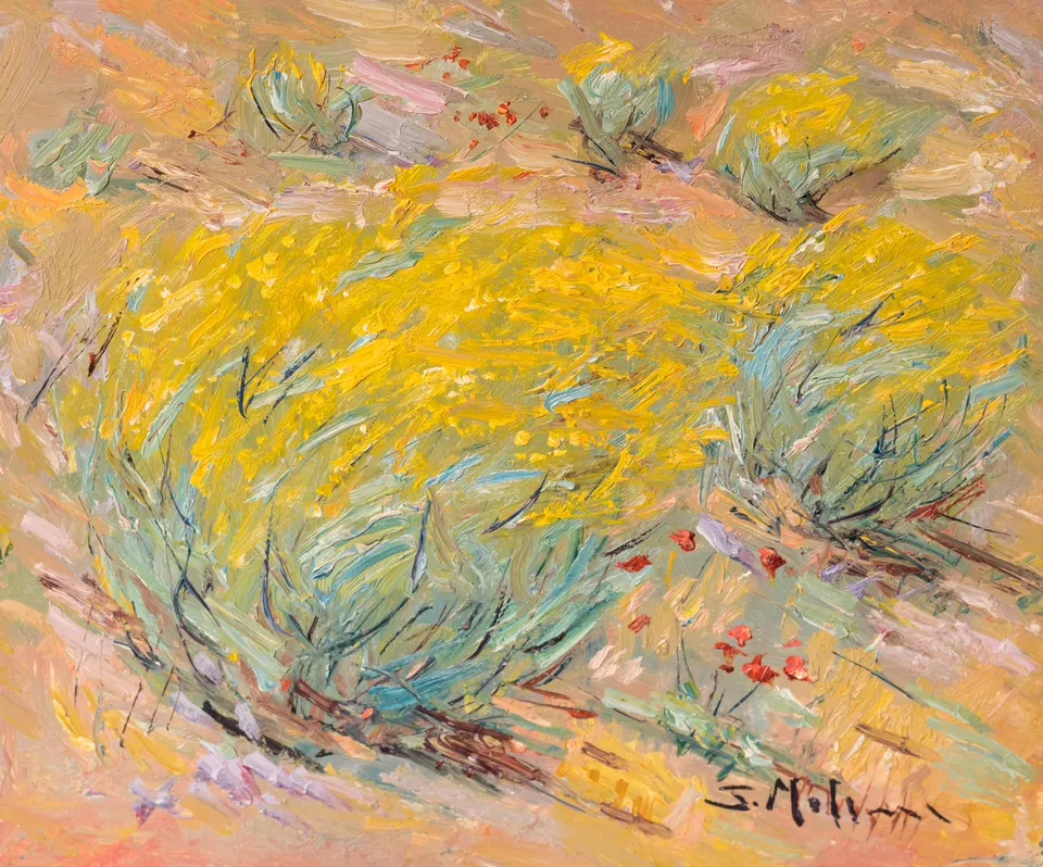Bushes in yellow flower