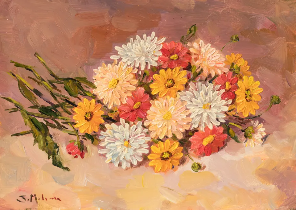 Daisies in many colours