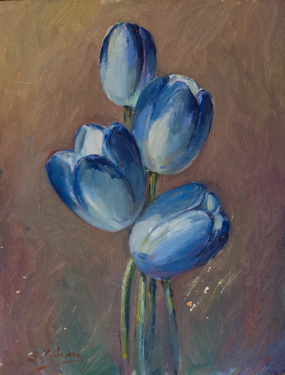 Blue tulips
