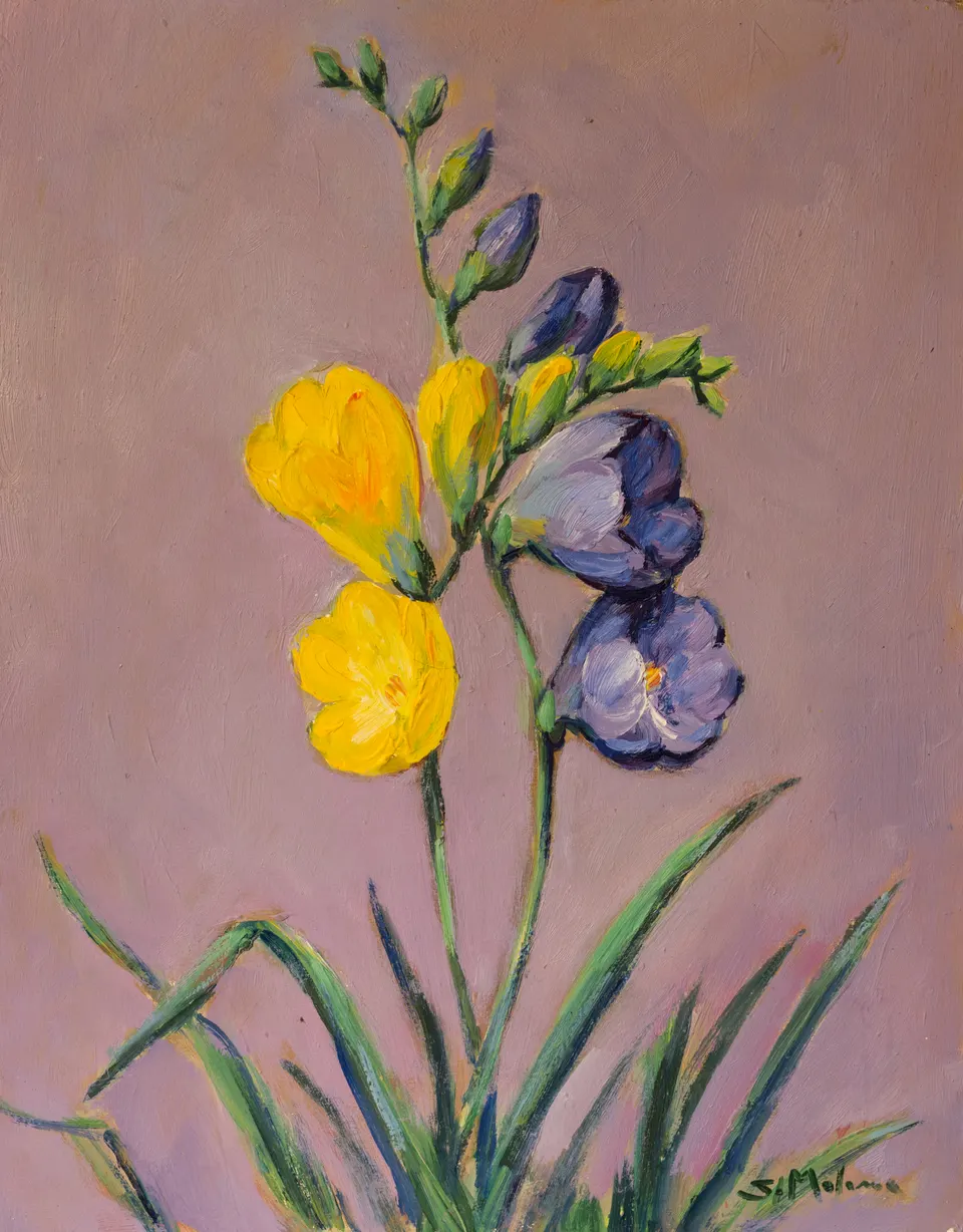 Yellow and mauve flowers